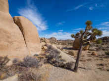 P1160349_60.jpg (973448 bytes)