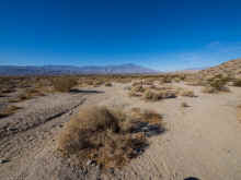 P1210353_60.jpg (879758 bytes)