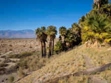 P1210379_60.jpg (1085328 bytes)