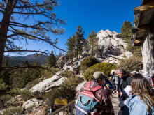 P1230444_60.jpg (1182219 bytes)