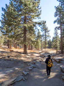 P1230449_60.jpg (1076289 bytes)