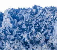 P1230542-2_60.jpg (118803 bytes)