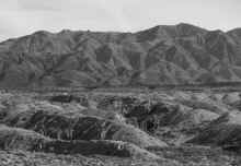 P1240575_60.jpg (759593 bytes)