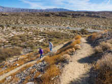 P1240585_60.jpg (1375577 bytes)