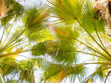 P1240604_60.jpg (1262860 bytes)