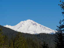 P1290638_60.jpg (499897 bytes)