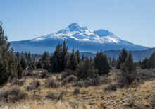 P1290662_60.jpg (831075 bytes)