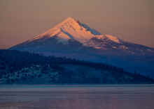 P1300697_60.jpg (312284 bytes)