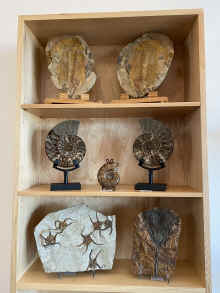 IMG_1897_90.jpg (904107 bytes)