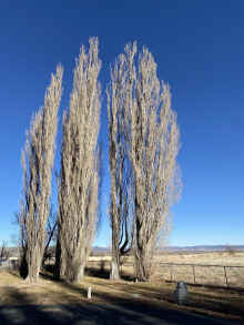 IMG_1941_90.jpg (1523686 bytes)