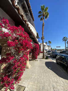 IMG_2038_90.jpg (1196731 bytes)