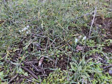 IMG_2092_90.jpg (1878481 bytes)