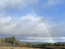 IMG_2114_90.jpg (377951 bytes)