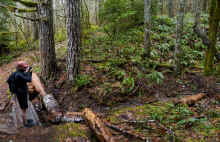 P1040789_95.jpg (2968657 bytes)