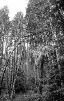 P1040793_95.jpg (3519331 bytes)