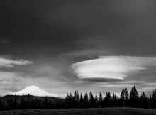 P1100079.JPG (7195058 bytes)