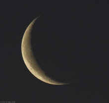 P1140101.JPG (1039480 bytes)