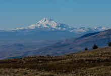 P1150116_80.jpg (610419 bytes)