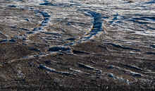 P1160154_80.jpg (2472161 bytes)