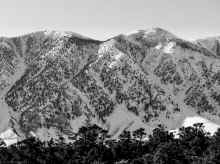 P1160188_80.jpg (1603980 bytes)