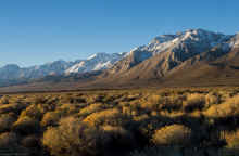 P1170317_80.jpg (1167724 bytes)