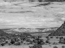 P1220431_80.jpg (1078633 bytes)