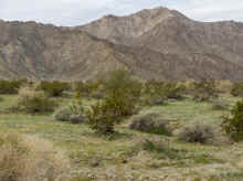 P1230459_80.jpg (1771580 bytes)