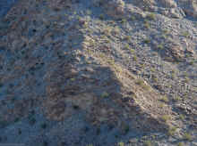 P1250467-2_80.jpg (2272816 bytes)