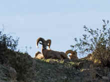 P1250477.JPG (328801 bytes)