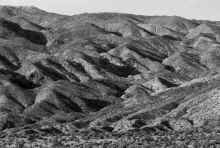 P1260496_80.jpg (1890859 bytes)