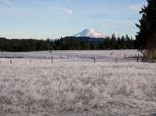 P2100621_80.jpg (1400712 bytes)