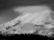 P2170665-2_80.jpg (578930 bytes)