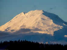 PC240643_80.jpg (589830 bytes)