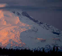 PC280695-2_80.jpg (228674 bytes)