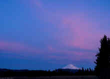 PC290704_80.jpg (385736 bytes)