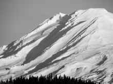 PC300738-6_80.jpg (1006892 bytes)