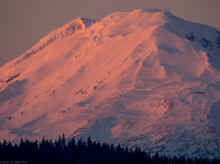 PC300750_80.jpg (576120 bytes)