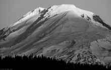 PC310768_80.jpg (828254 bytes)