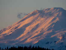 P4020734_60.jpg (323686 bytes)