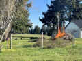 IMG_0377.JPEG_80.jpg (1119291 bytes)