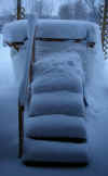 Friday Snow 5.jpg (111143 bytes)