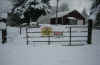 New Snow 4-Dec-07 2.jpg (76515 bytes)