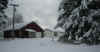New Snow 4-Dec-07.jpg (68590 bytes)