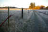 frosty driveway.jpg (174149 bytes)