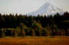 mt hood sunset 1.jpg (138166 bytes)