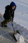 shoveling 3.jpg (122731 bytes)