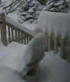 snow 1.jpg (122554 bytes)