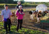 with cows 1.jpg (264157 bytes)