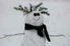 snowman 1.jpg (105802 bytes)