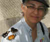 butterflies 9 P.jpg (129336 bytes)